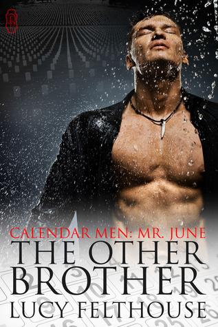 The Other Brother book cover