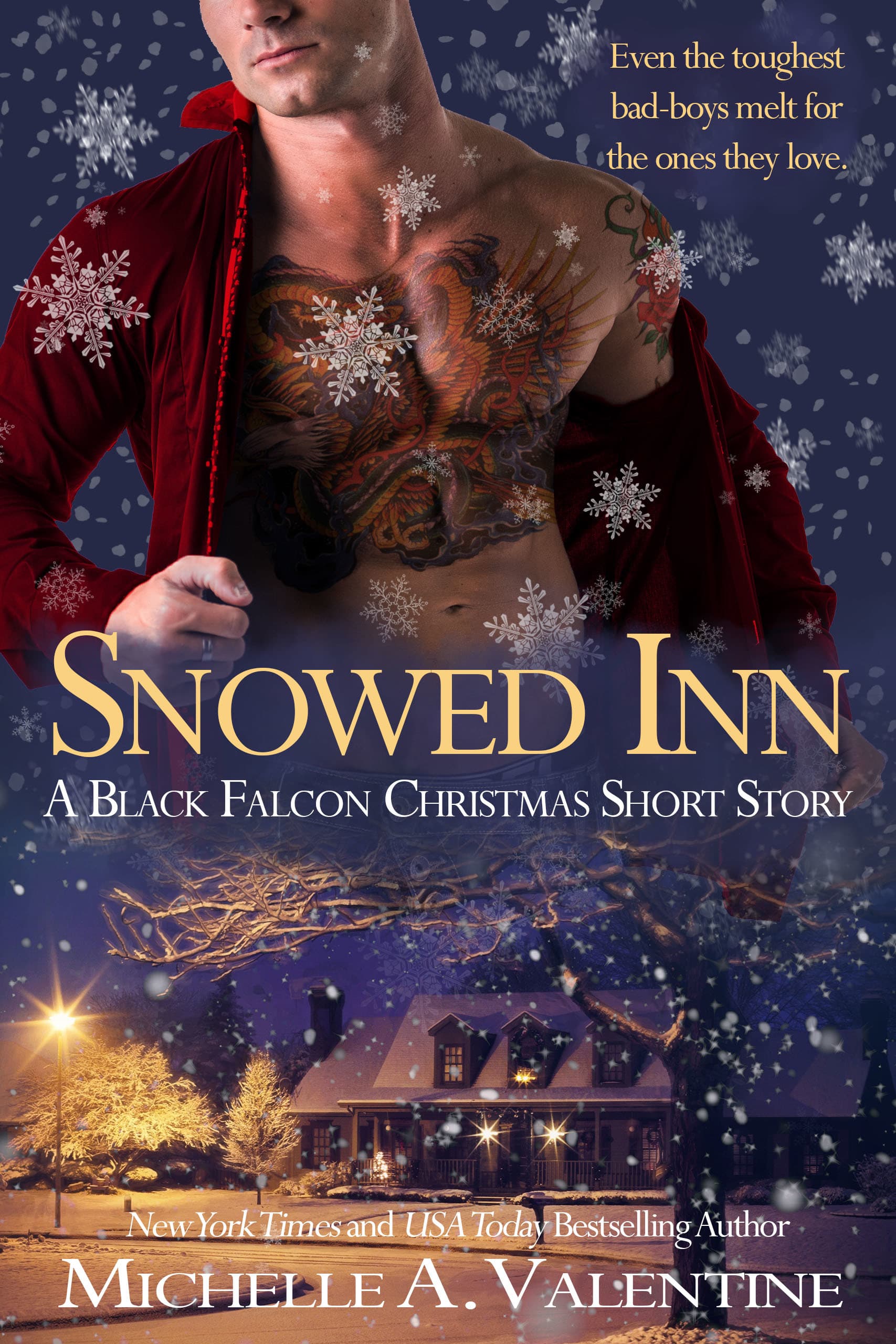 Snowed Inn book cover