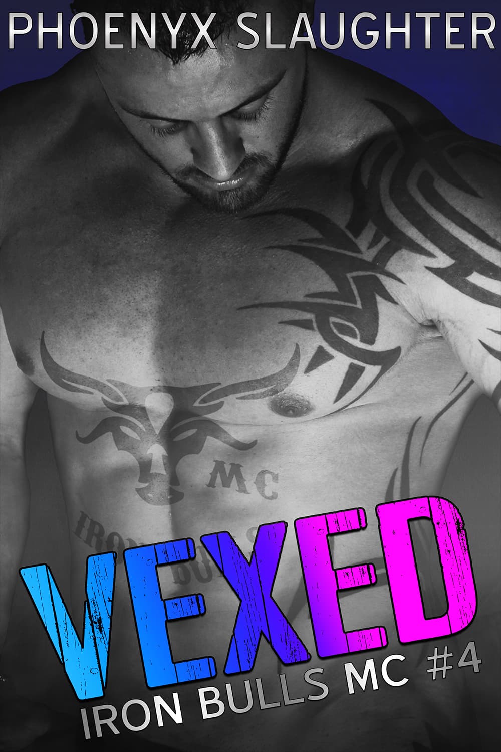 Vexed book cover