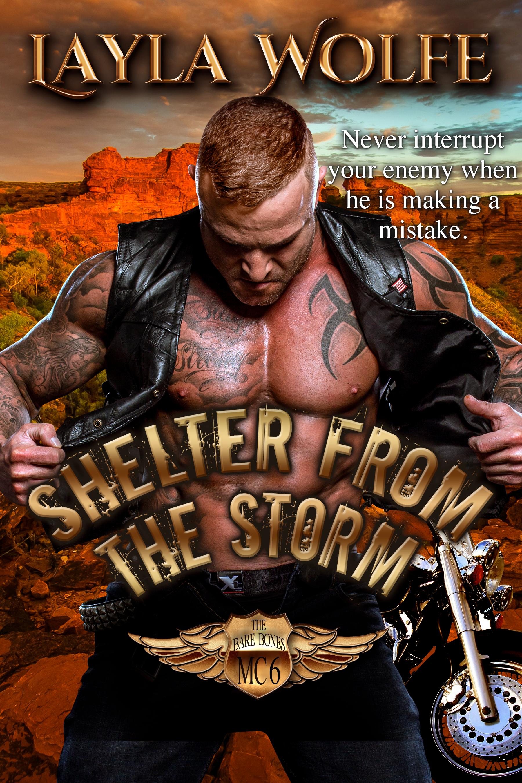 Shelter From The Storm book cover