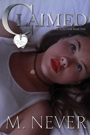 Series Book Cover Preview