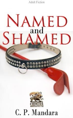 Named and Shamed book cover