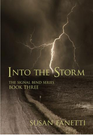 Into the Storm book cover