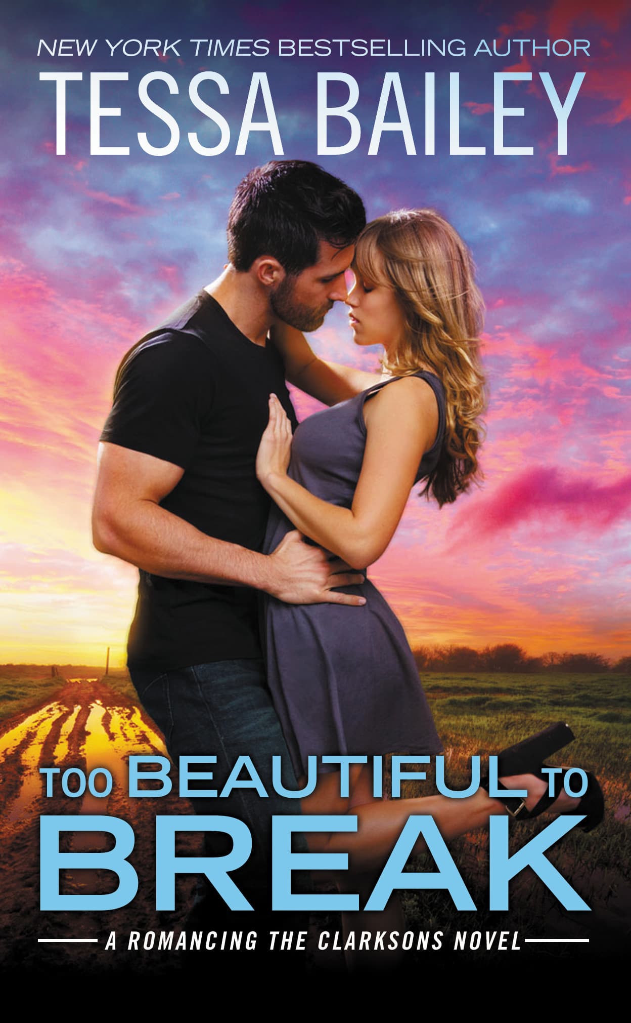 Too Beautiful to Break book cover