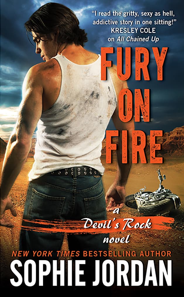 Fury on Fire book cover