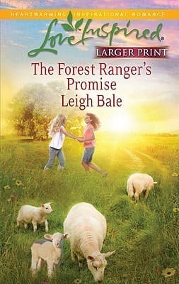 Series Book Cover Preview