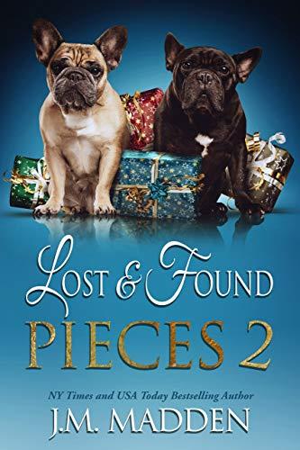 Lost and Found Pieces 2 book cover