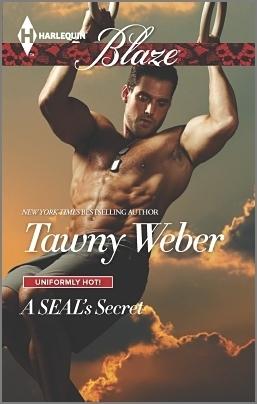 A SEAL's Secret book cover