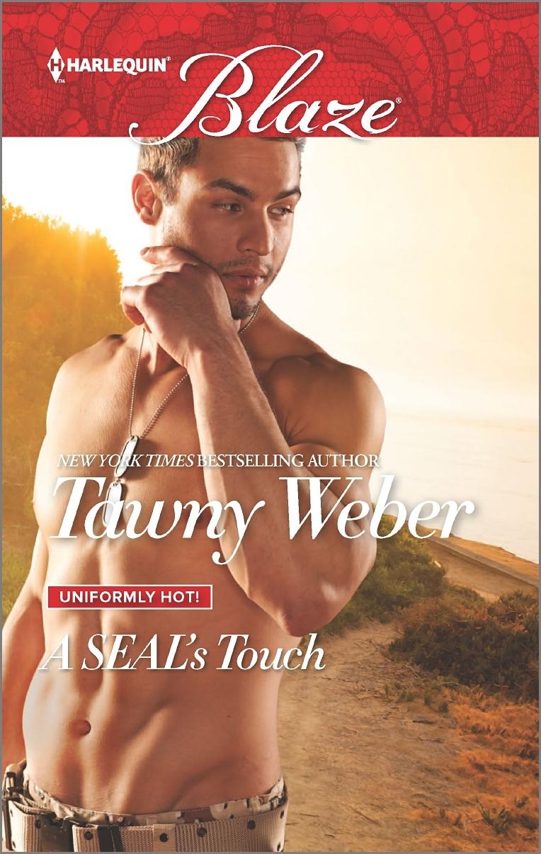 A SEAL's Touch book cover