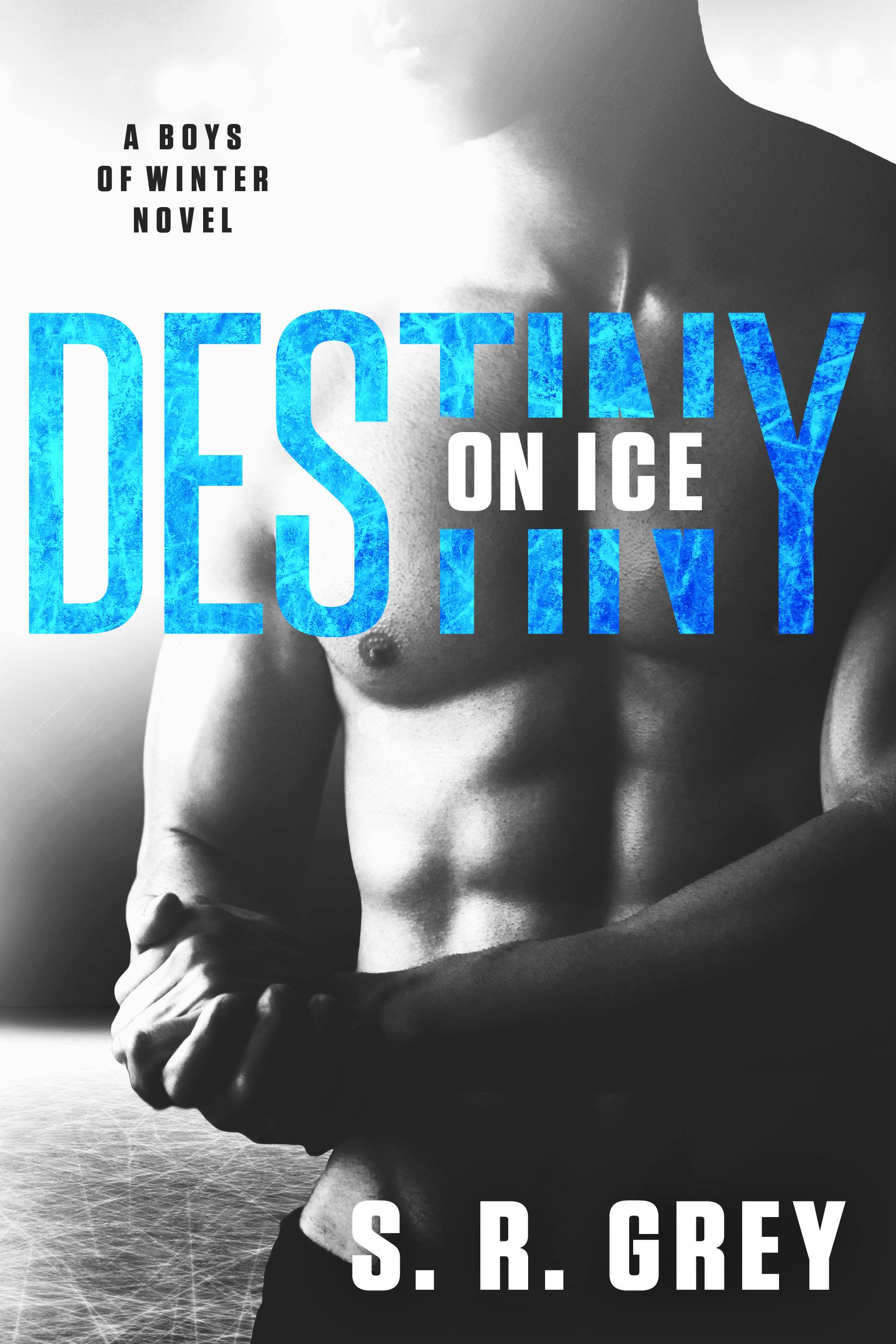 Destiny on Ice book cover