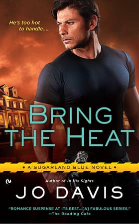 Bring the Heat book cover