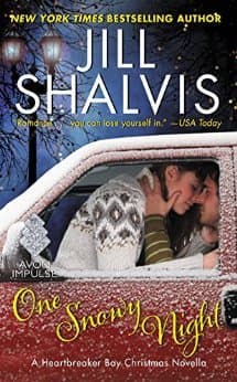 One Snowy Night book cover