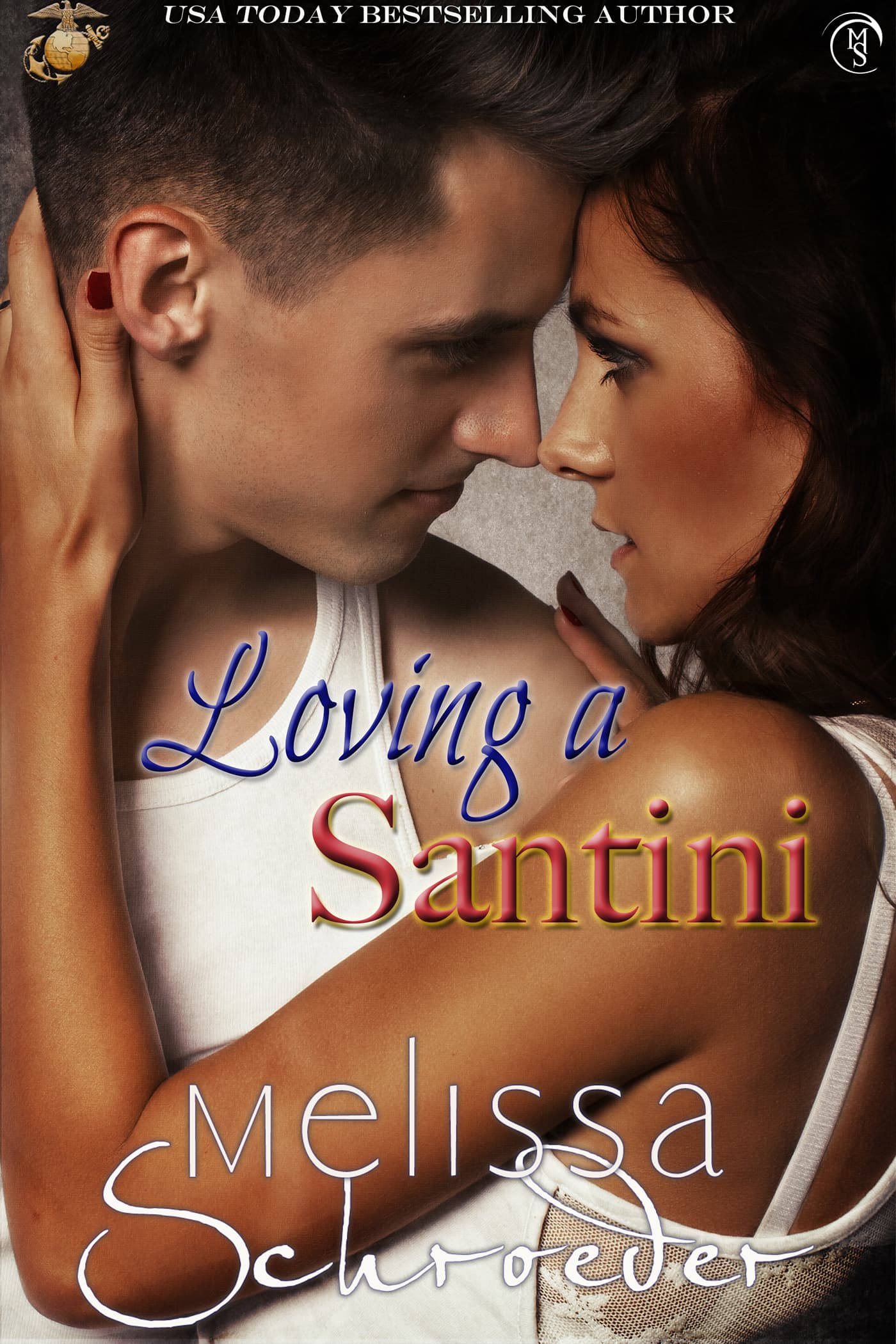 Loving a Santini book cover