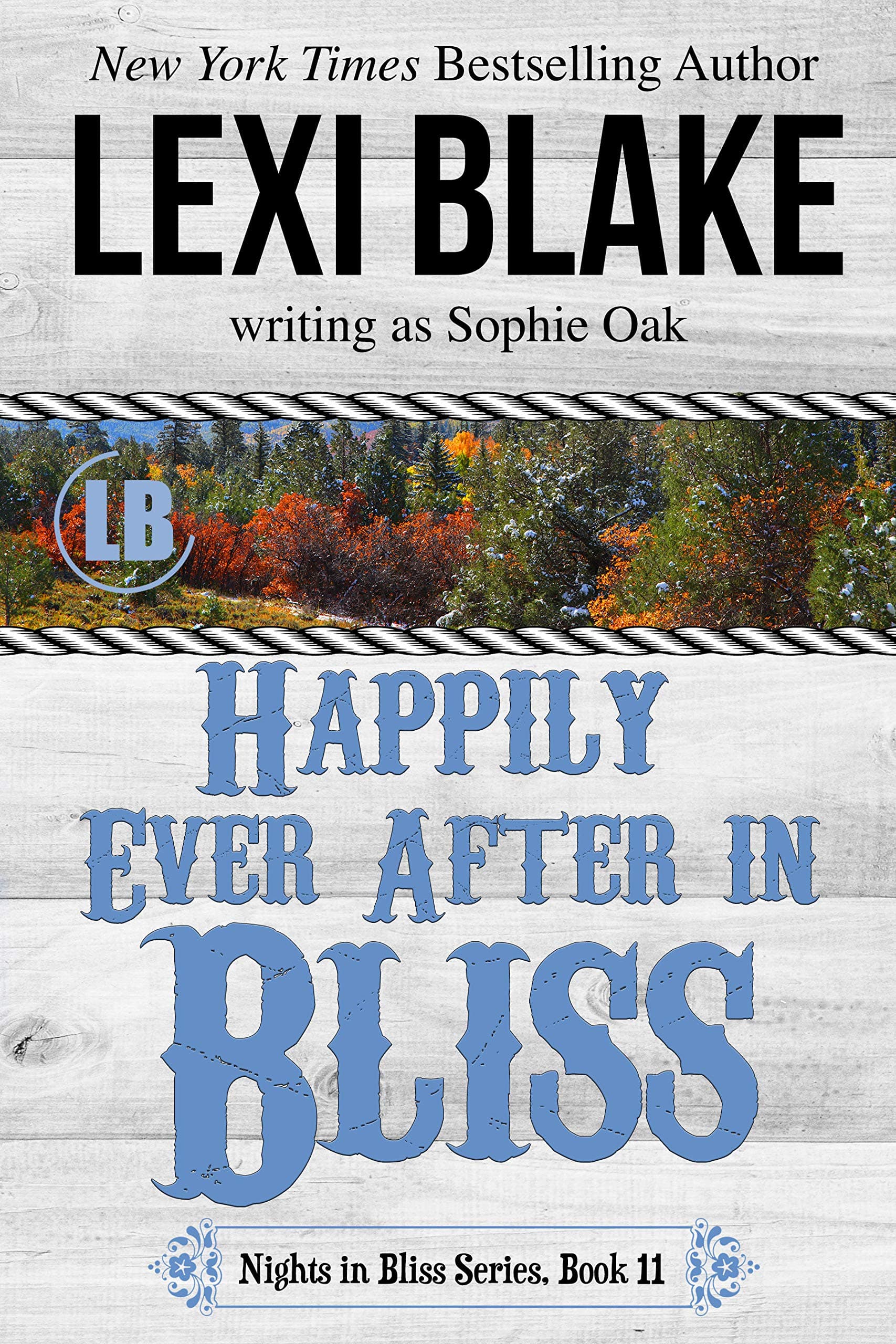 Happily Ever After in Bliss book cover