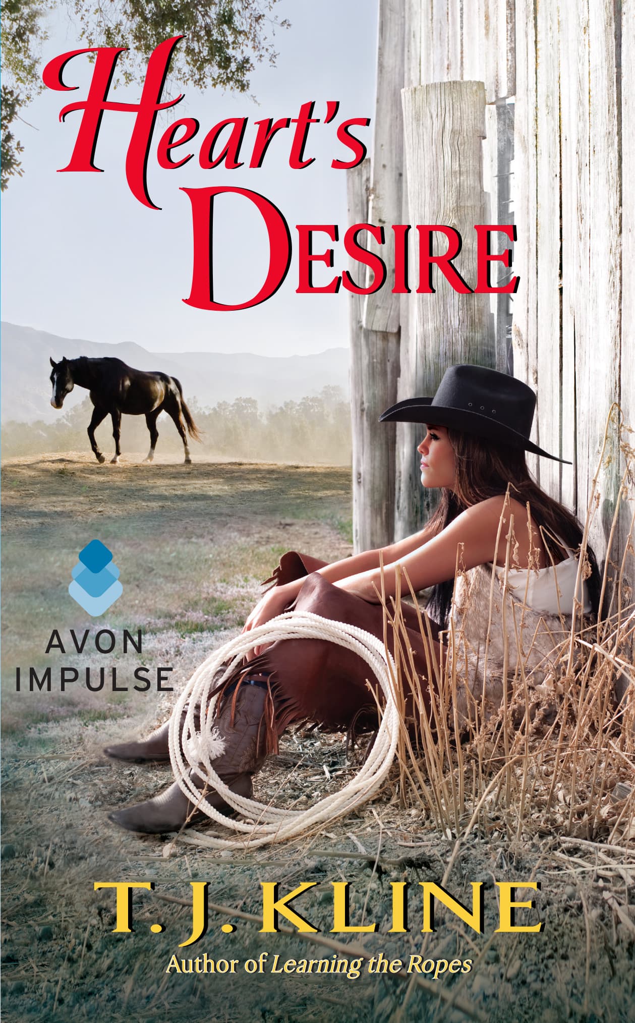 Heart's Desire book cover