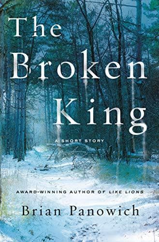 The Broken King book cover