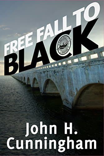 Free Fall to Black book cover