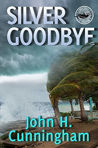 Silver Goodbye book cover