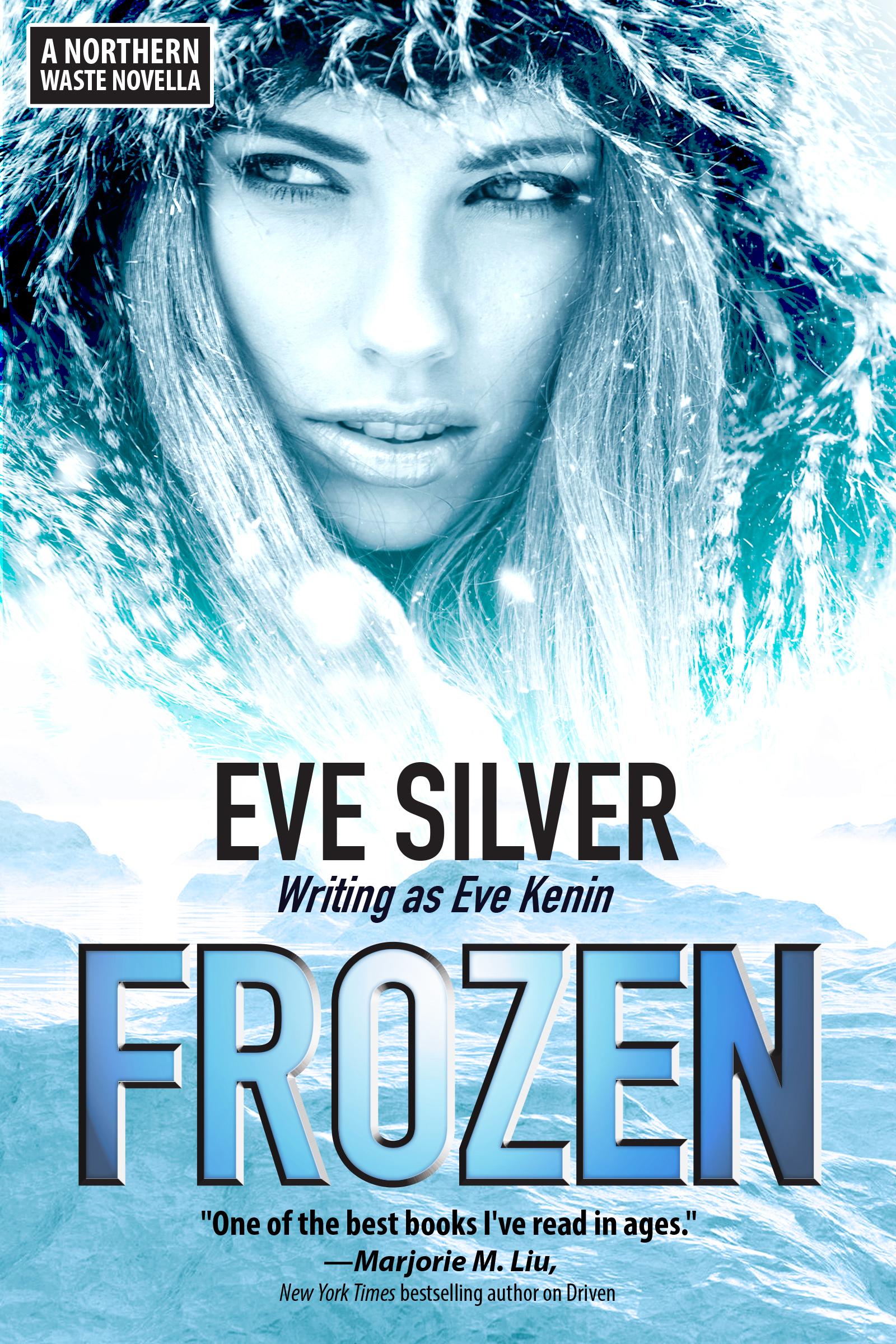 Frozen book cover