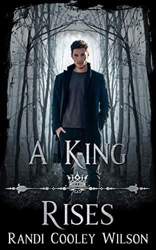 A King Rises book cover