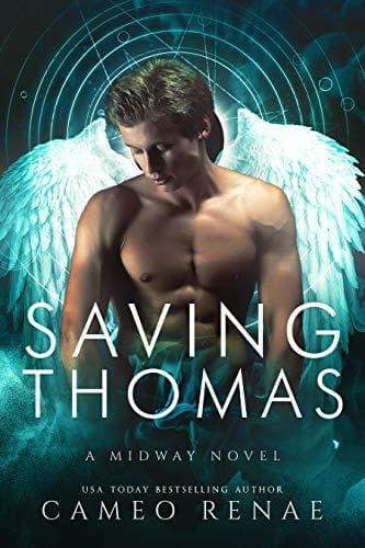 Series Book Cover Preview