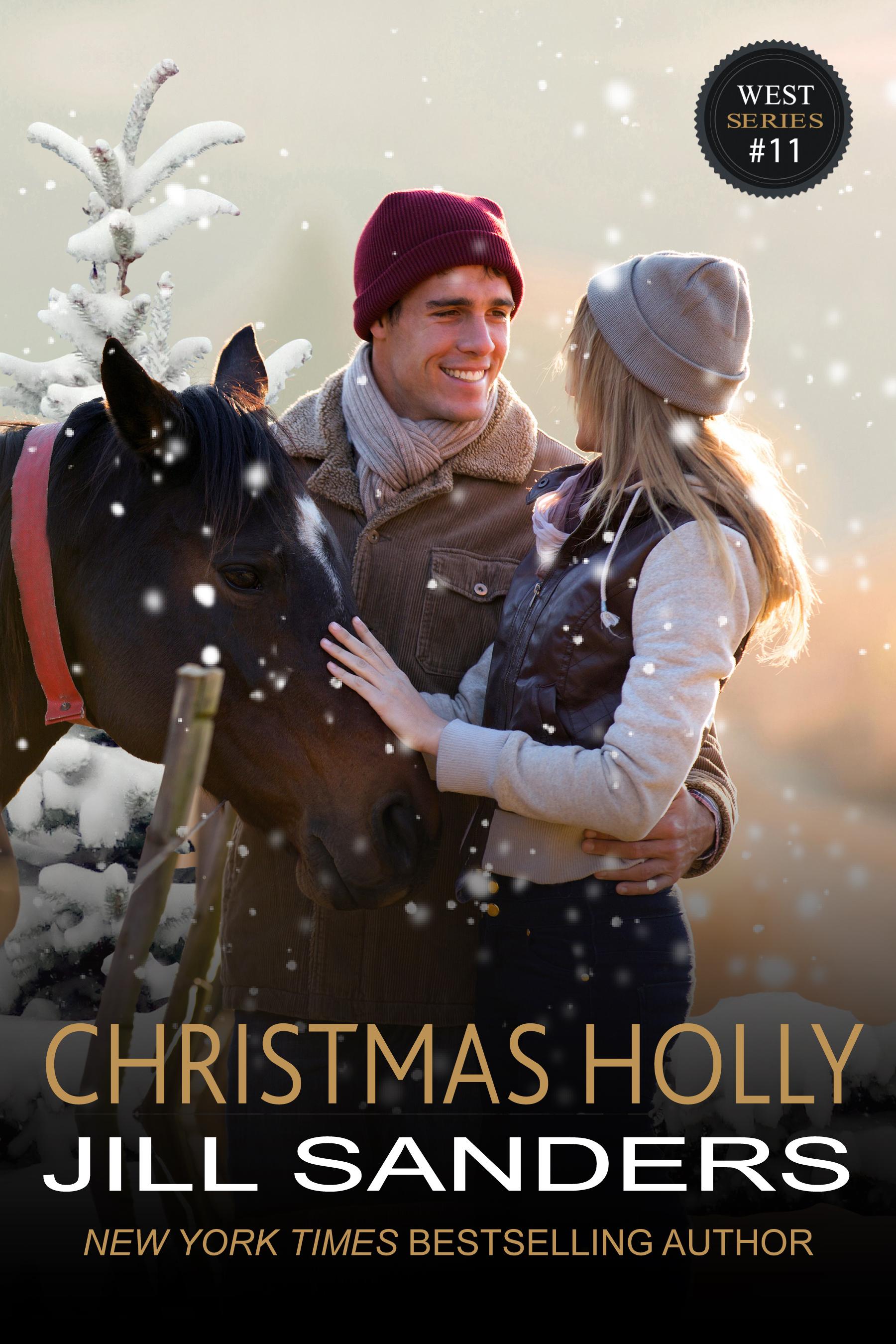 Christmas Holly book cover