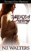 Threads of Destiny book cover