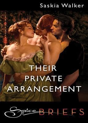Their Private Arrangement book cover