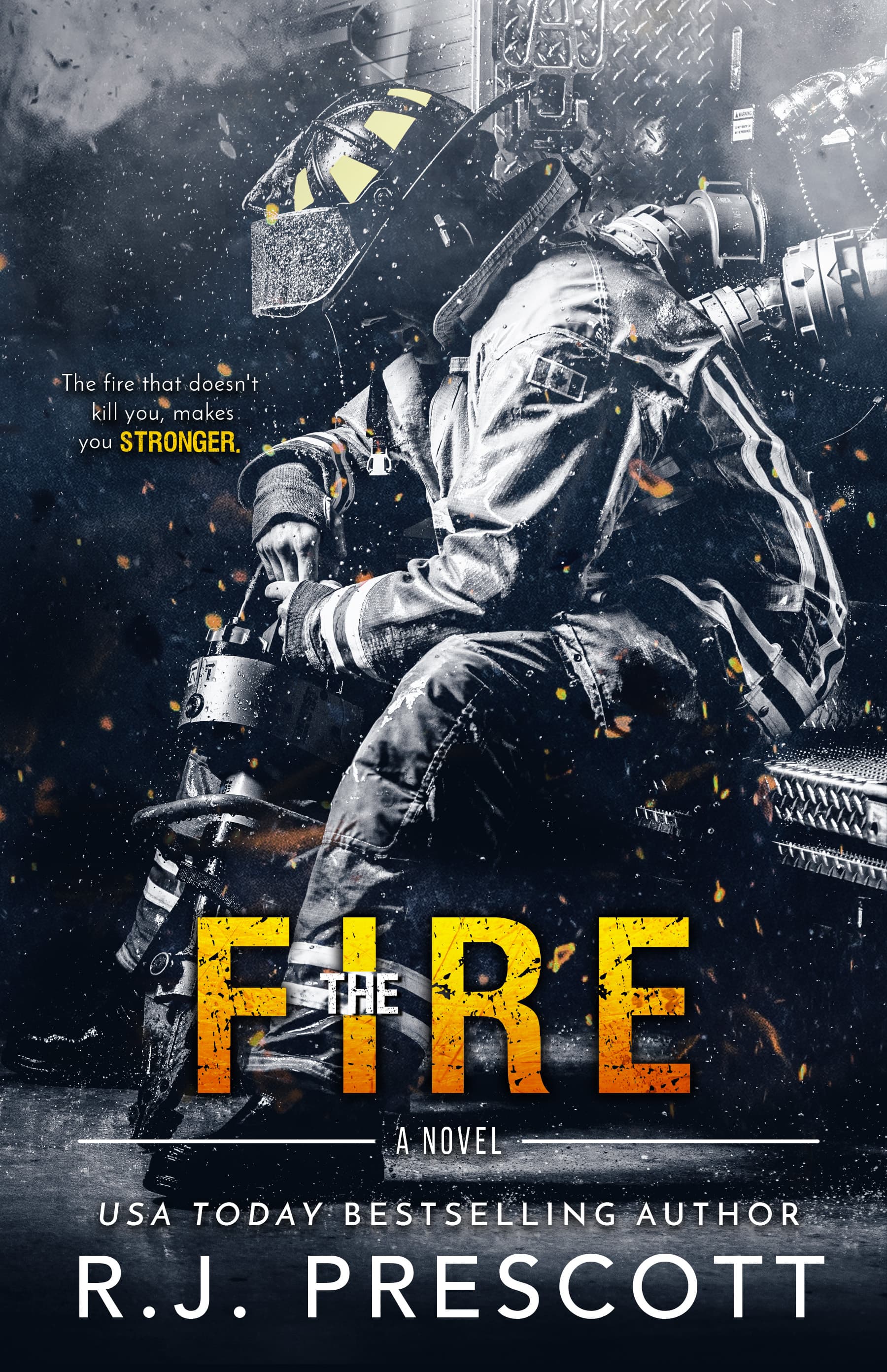 The Fire book cover