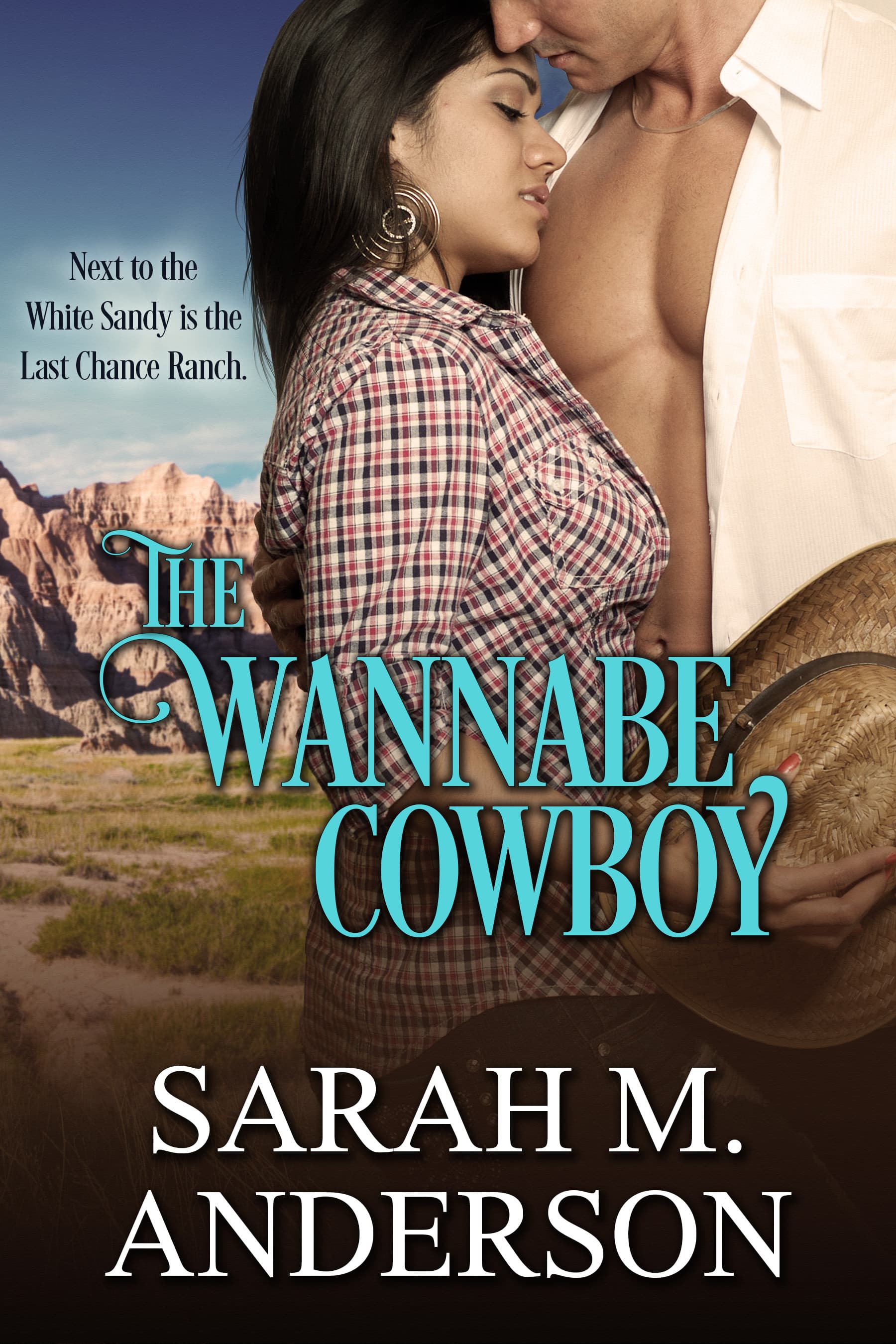 The Wannabe Cowboy book cover
