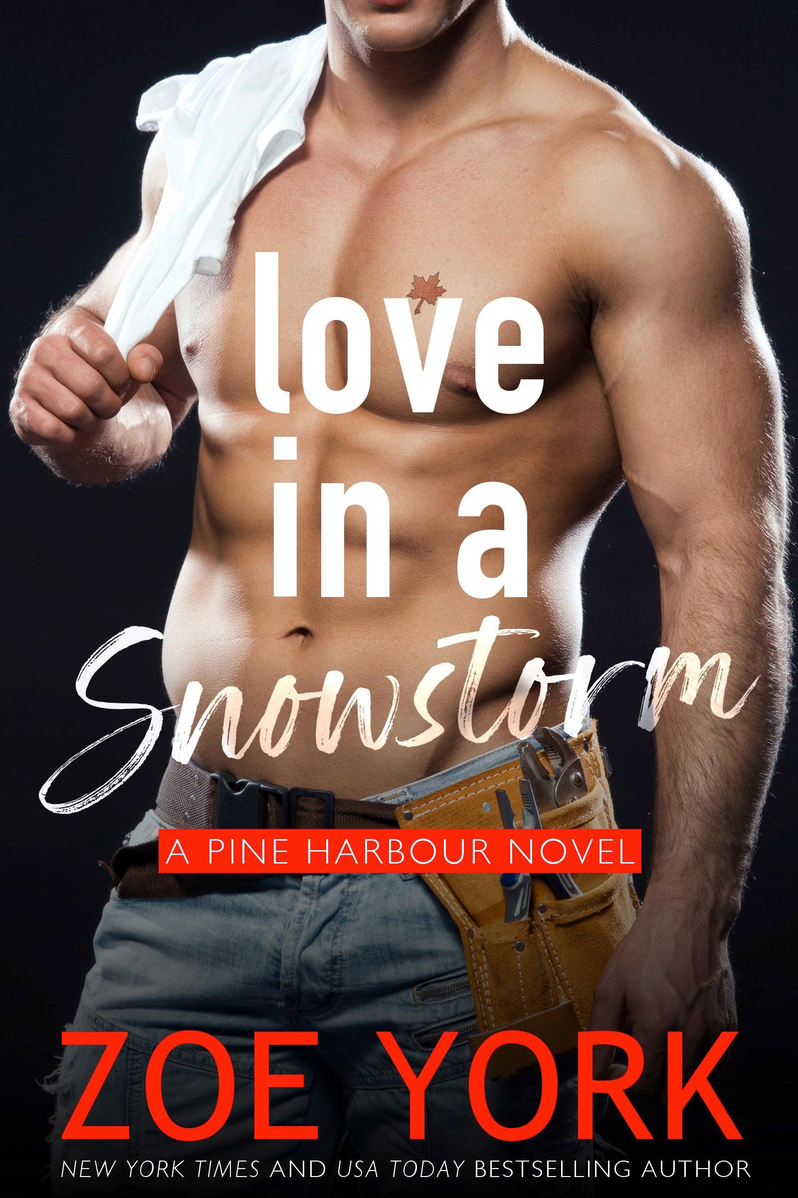 Love in a Snow Storm book cover