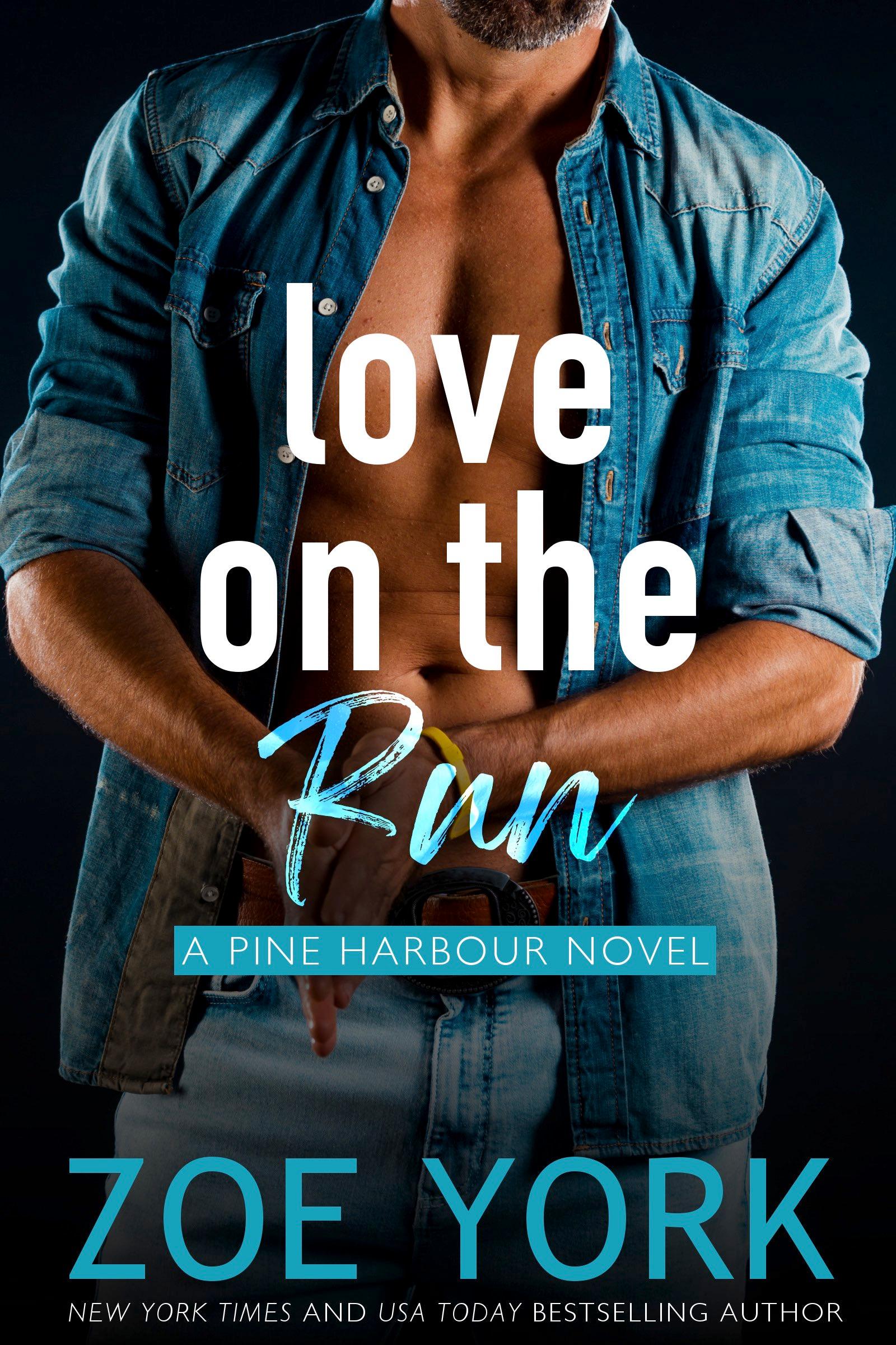 Love on the Run book cover