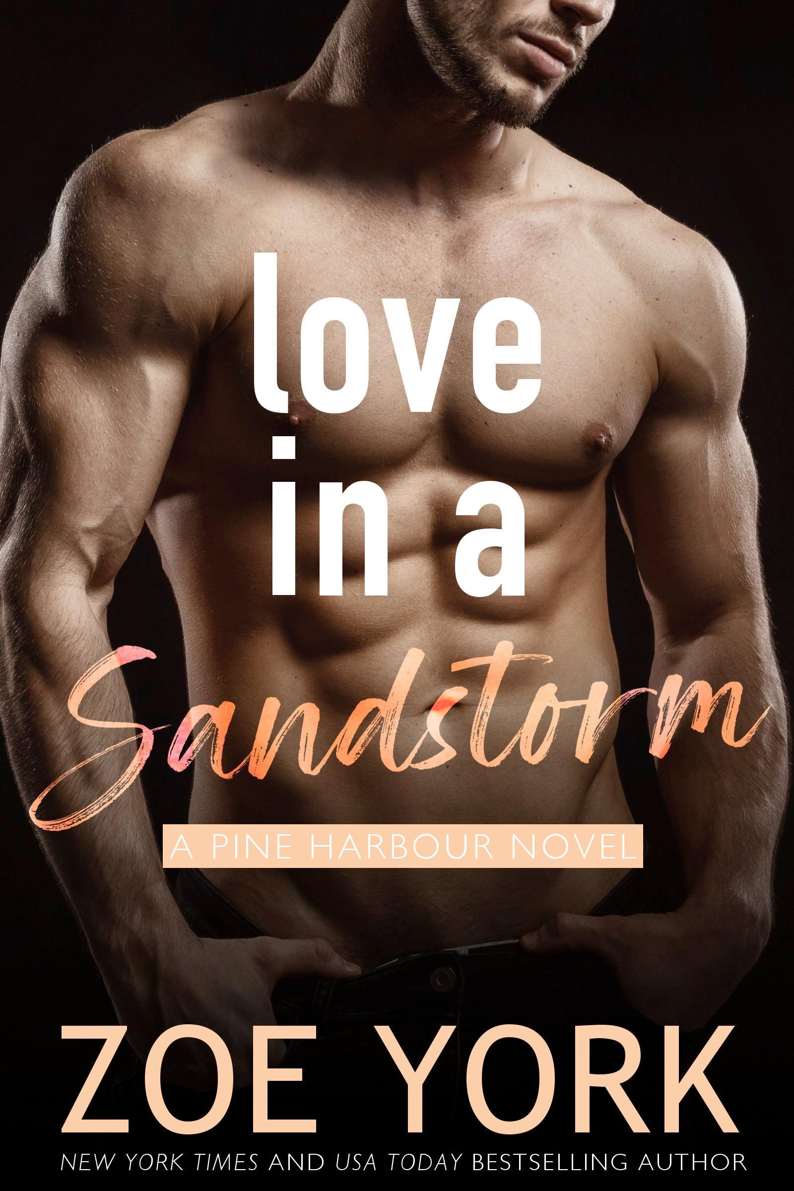 Love in a Sandstorm book cover