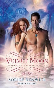 Velvet Moon book cover