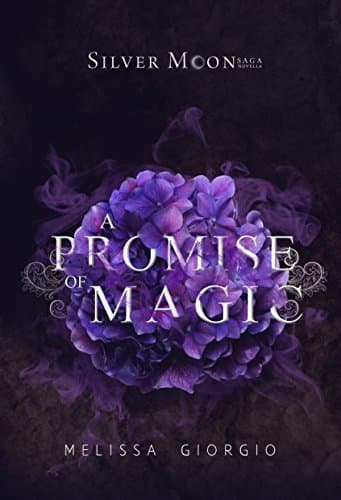 A Promise of Magic book cover