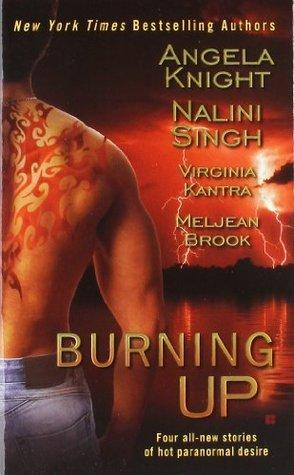 Burning Up book cover