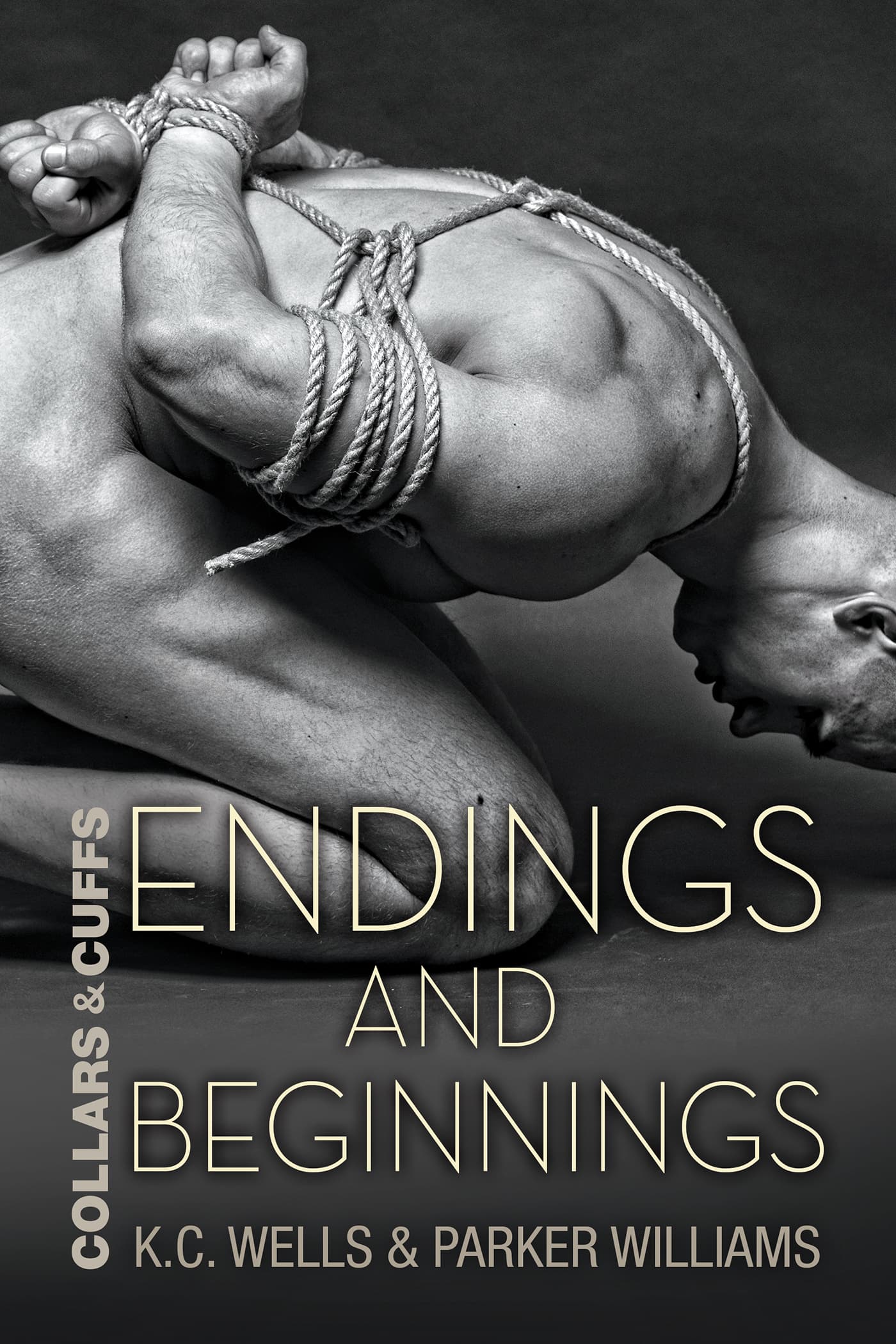 Endings and Beginnings book cover
