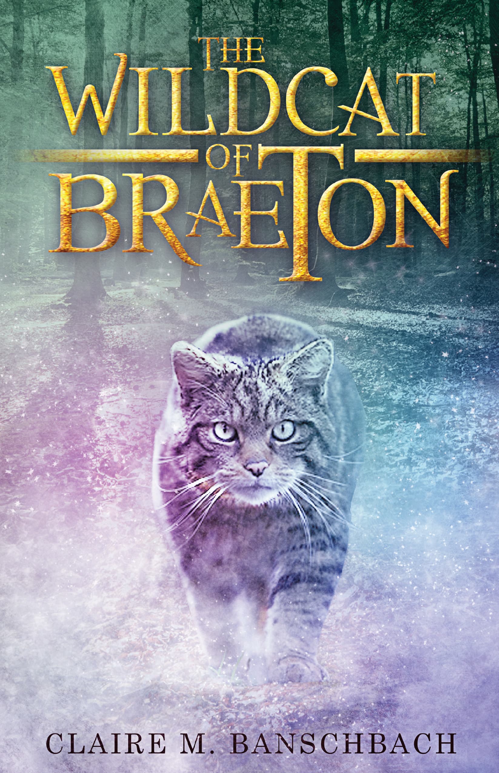 The Wildcat of Braeton