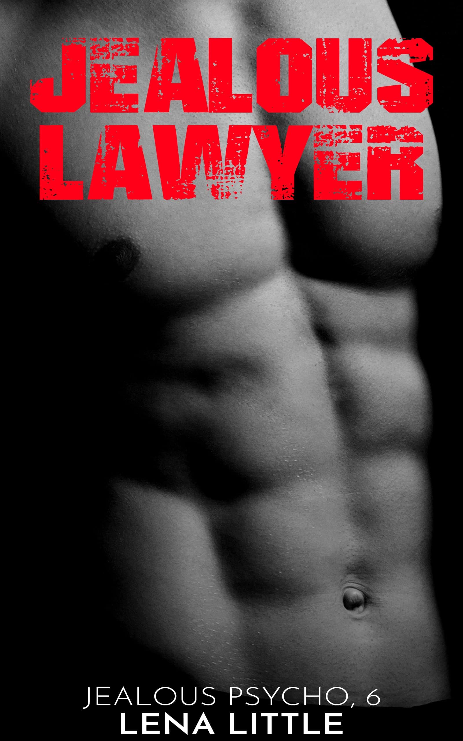 Jealous Lawyer book cover