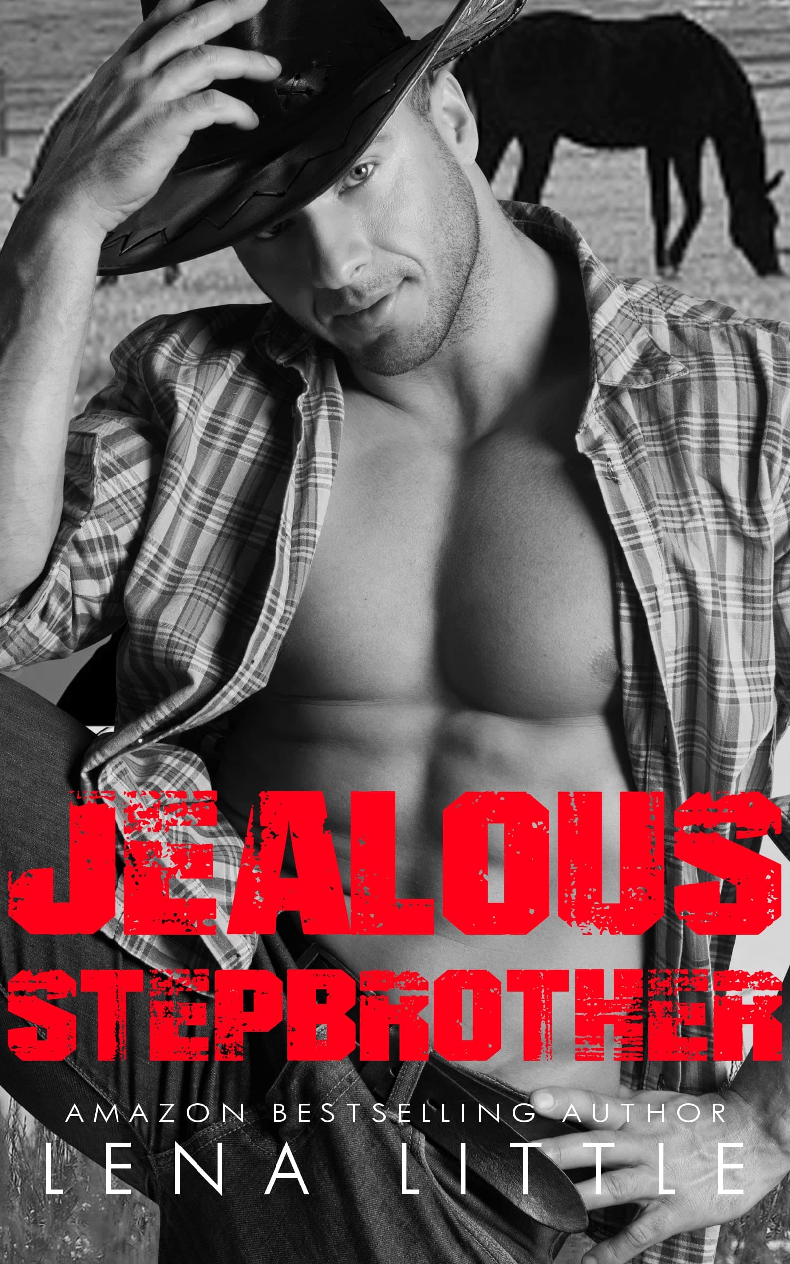 Jealous Stepbrother book cover