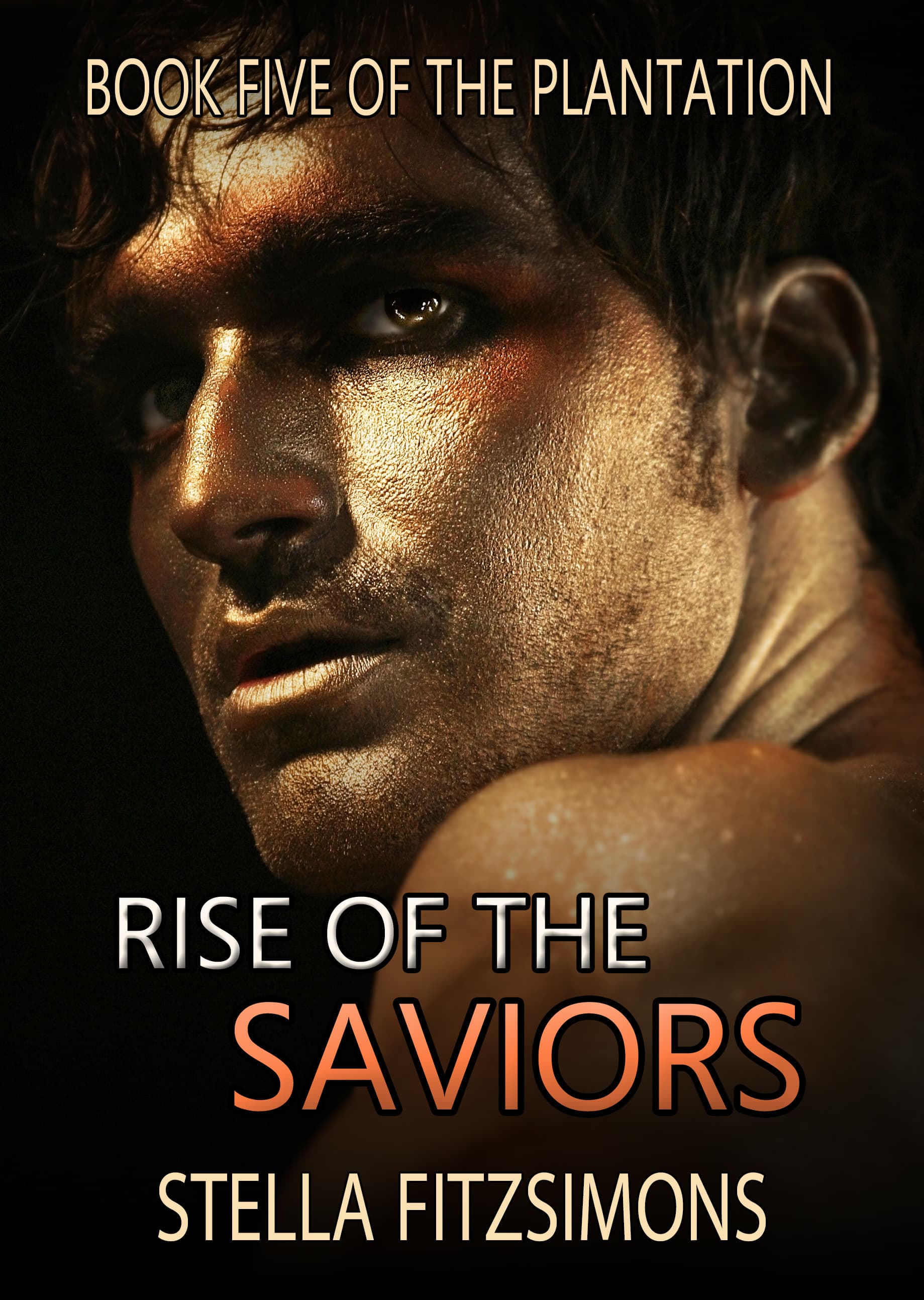 Rise of the Saviors book cover