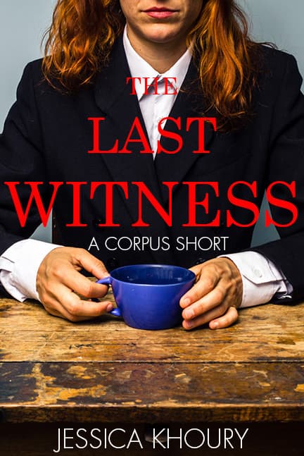 The Last Witness book cover