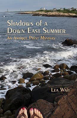 Shadows of a Down East Summer book cover