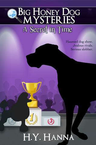 A Secret in Time book cover