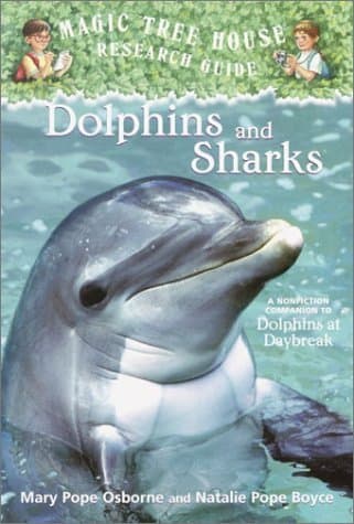 Dolphins And Sharks book cover