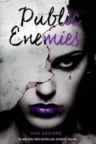 Public Enemies book cover