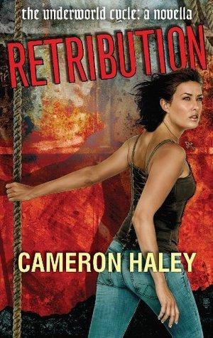 Retribution book cover