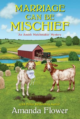 Marriage Can Be Mischief book cover