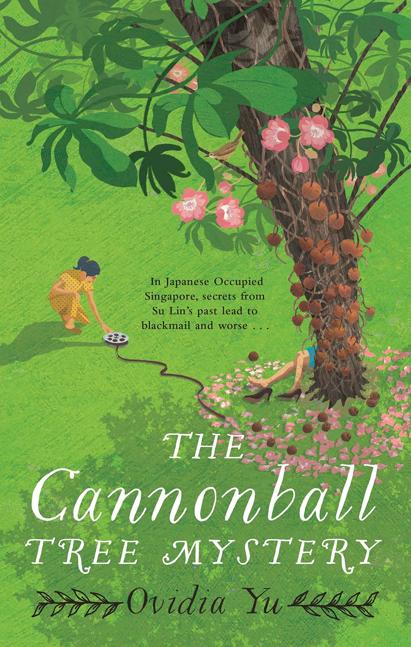 The Cannonball Tree Mystery book cover