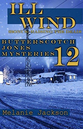 Ill Wind book cover